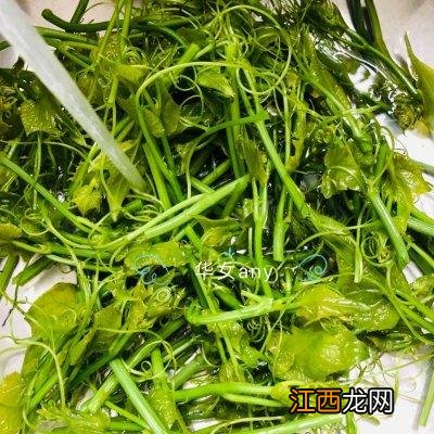 蒜香口味怎么起名 蒜香是什么