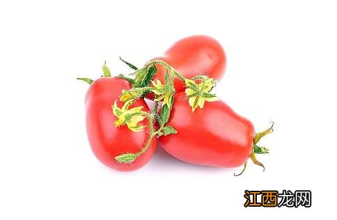 圣女果和什么水果搭配好 圣女果和什么一起榨汁