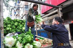 东三省冬天哪里好玩 东北没有的蔬菜