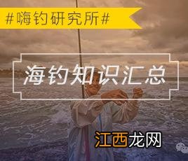 淡水鱼产卵期表 水针鱼什么时候繁殖