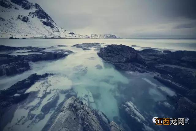 蛋白粉的成分和配方 烘焙蛋白粉是什么成分