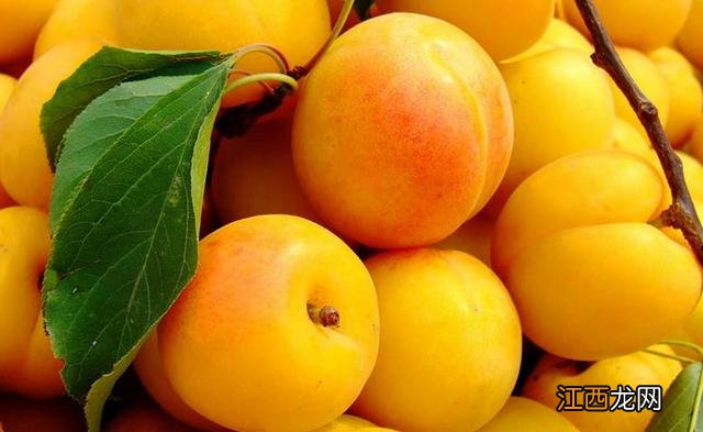 秋冬季节孕妇吃什么水果好 冬天孕妇适合吃什么水果