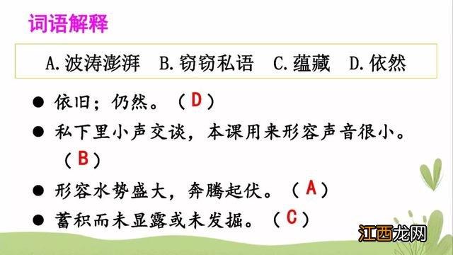 什么鱼像梭子 海洋里像梭子一样的鱼是什么鱼