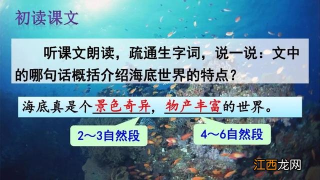 什么鱼像梭子 海洋里像梭子一样的鱼是什么鱼