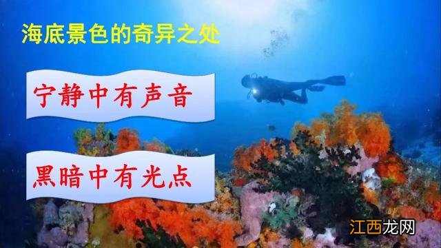 什么鱼像梭子 海洋里像梭子一样的鱼是什么鱼