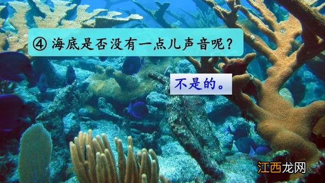 什么鱼像梭子 海洋里像梭子一样的鱼是什么鱼