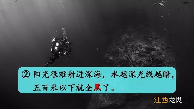 什么鱼像梭子 海洋里像梭子一样的鱼是什么鱼