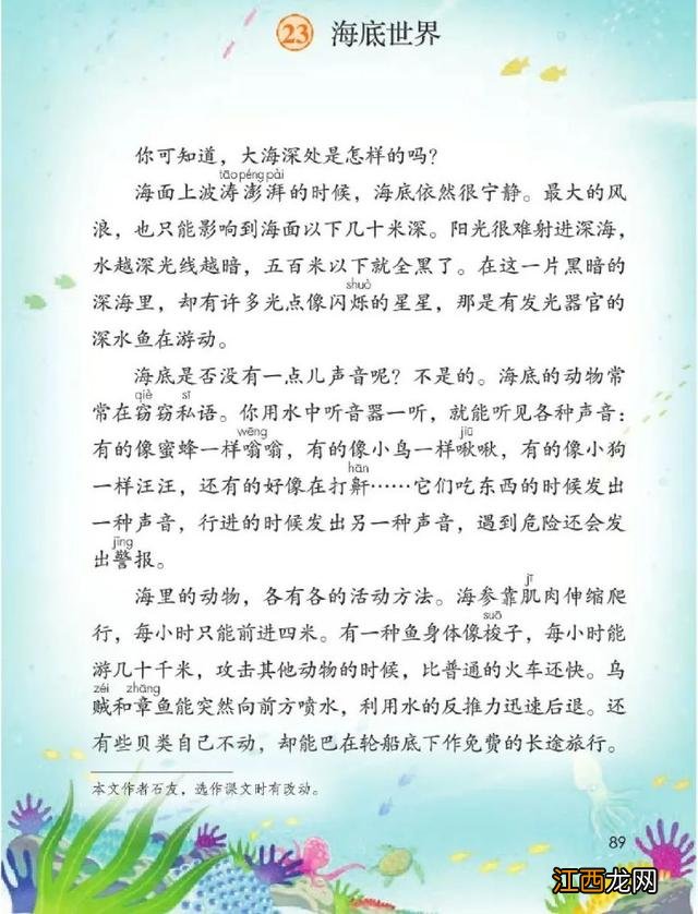 什么鱼像梭子 海洋里像梭子一样的鱼是什么鱼