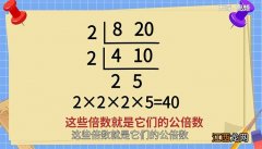 45和60的最小公倍数是多少 45和60的最小公倍数是几