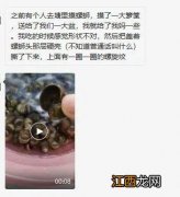 田螺什么季节才有 田螺什么时候出来,早上还是晚上