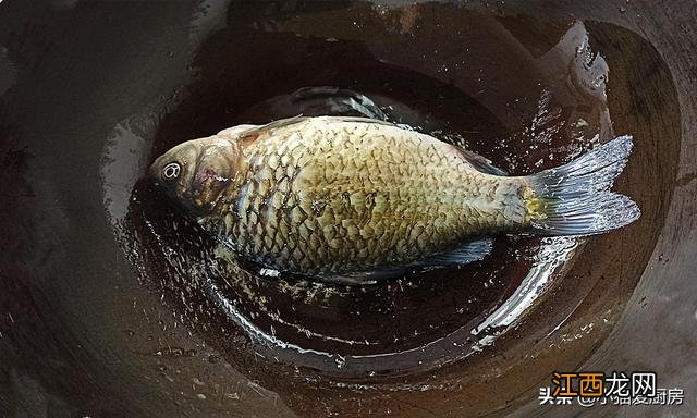 鲫鱼豆腐汤奶白 奶白鲫鱼豆腐汤什么时候放豆腐合适