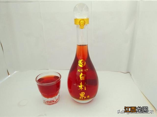 白果壳是什么垃圾 白果壳有什么用处吗