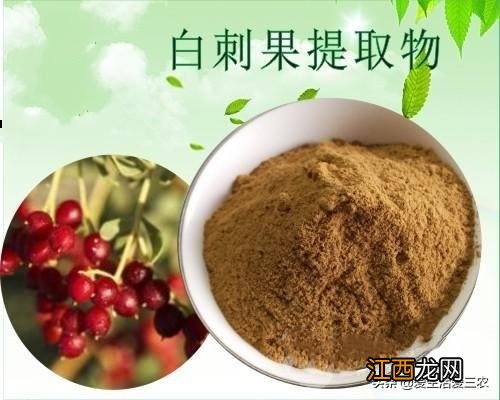 白果壳是什么垃圾 白果壳有什么用处吗