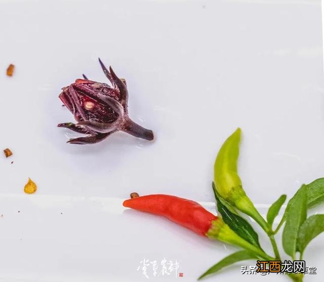 洛神花果茶图片 洛神花红莓花果茶