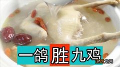 用什么炖鸽子汤最营养 鸽子用什么煲汤好