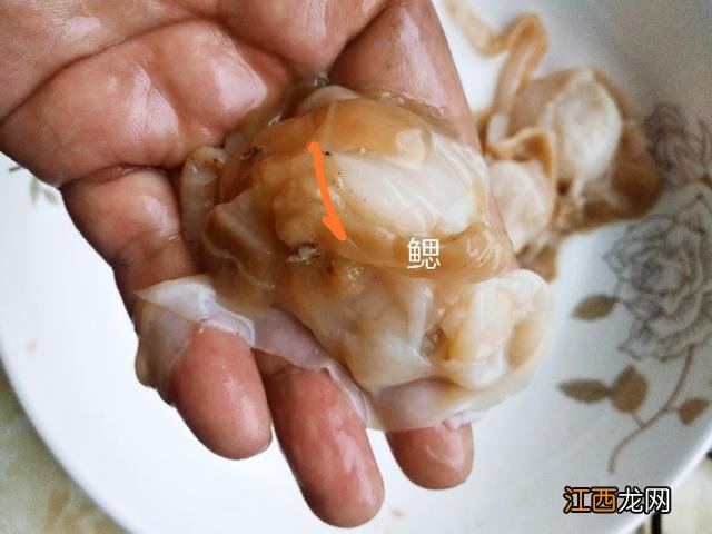 扇贝肉怎么做没有腥味 扇贝肉太腥