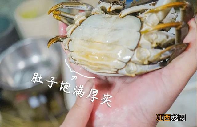 螃蟹选什么样的好 什么样的螃蟹新鲜