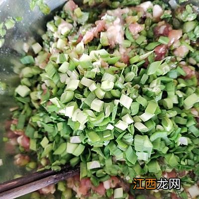 茼蒿鸡蛋馅素饺子 茼蒿和什么包素饺子好