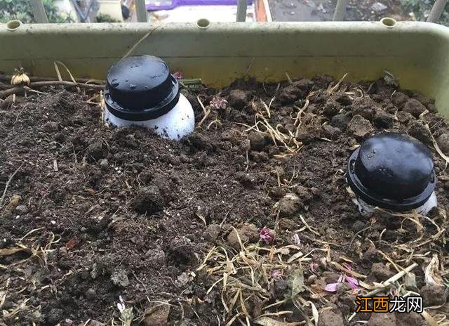 酵素是什么东西 发酵素是用什么东西制作的