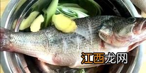 送老人什么食物最好 给老人送什么食品吃好