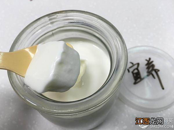 活性益生菌酸奶有哪些品牌 买什么牌子的酸奶活益菌好