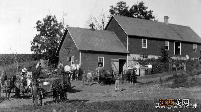 芝士是什么做的呀 发达芝士是什么牌子