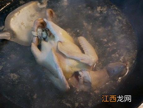 夏天鸽子汤怎么炖最好喝 夏天鸽子炖什么好