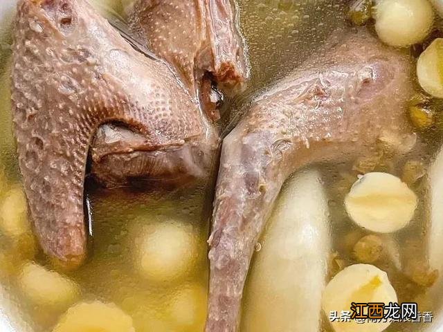 适合炖鸽子的中药材 炖白鸽放什么药材
