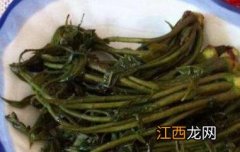 春芽咸菜的腌制方法窍门图片 春芽咸菜的腌制方法窍门