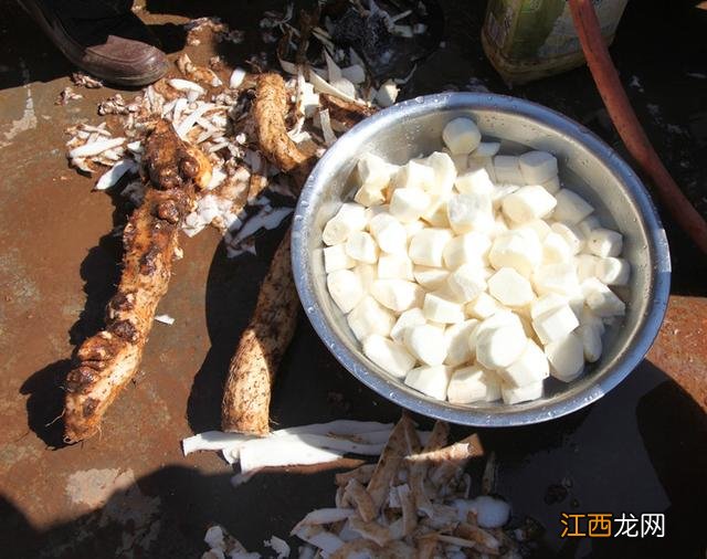 野生山药和种植山药哪个好 种野山药什么土最好