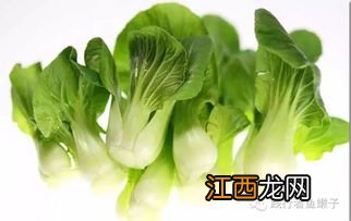 像油麦菜的菜是什么菜 油菜怎么做好吃家常菜