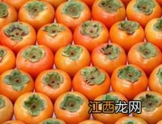 肉类冰箱冷冻保质期 冻柿子百科