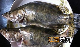 桂鱼营养与药用价值 桂鱼有什么功效和营养