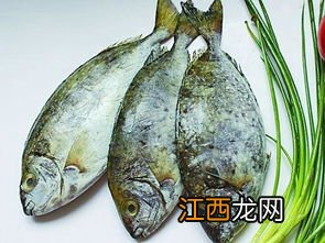 壮泥鳅的功效 吃泥猛鱼有什么好处