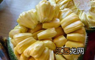 菠萝蜜不能和什么一起吃 菠萝蜜不能与哪些食物一起吃