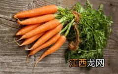 红萝卜的营养功效与作用 青菜的营养价值及功效