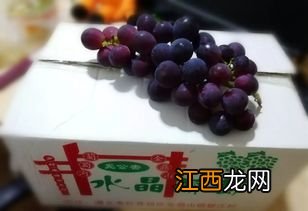 绿提子干的功效与作用 提子酒的做法