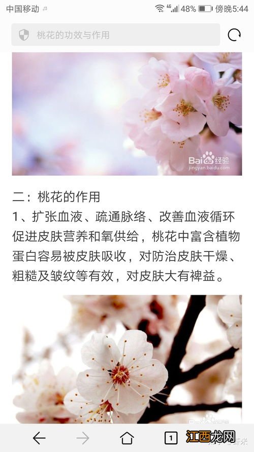 桃花喝了有什么功效与作用 桃花泡茶喝有什么功效