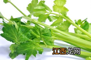 清肝火的食物和蔬菜 降肝火最快偏方