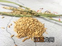 怎样防止米不生虫,米里面可放什么 超市买的肉有虫子