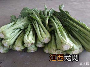 腌制咸菜放白酒起什么作用 腌咸菜需要放酒吗