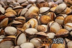 海鲜在什么时候最肥美 海鲜在什么时候最肥美