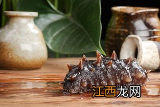 鲜海参怎么吃 海参怎么食用效果最好