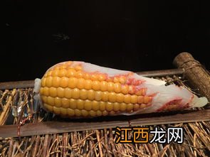 吃过玉米别碰八种食物 南瓜不能和什么一起吃