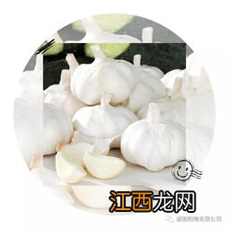 大蒜的功效与作用是什么 蒜水的功效和作用