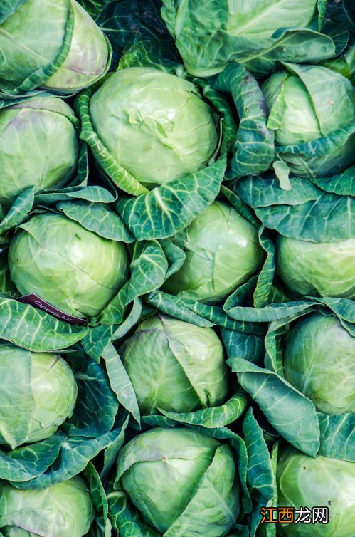 胃炎胃溃疡吃什么食物 胃溃疡吃什么蔬菜有利于恢复