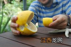 吃什么东西能化痰 化痰妙招