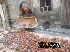 柿饼什么时候做合适 柿饼制作时间