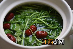 西洋菜不能与什么同食 西洋菜不能与什么同食