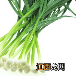 大蒜死苗烂根 大蒜芽前除草可以用什么除草剂